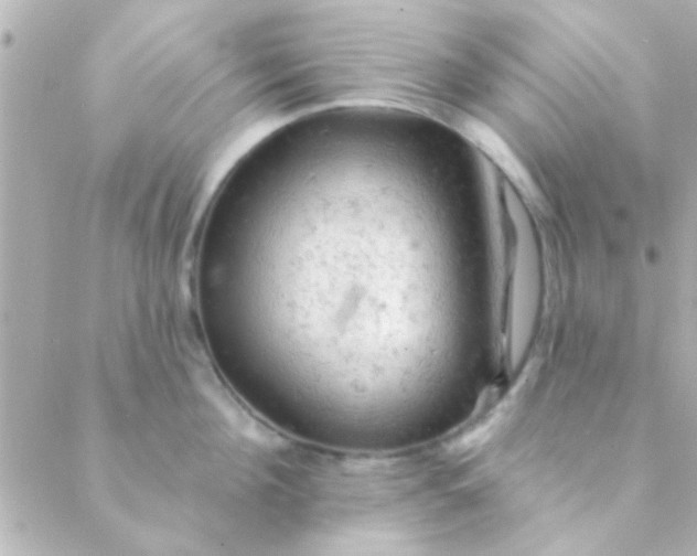 X0000088650908200706152004