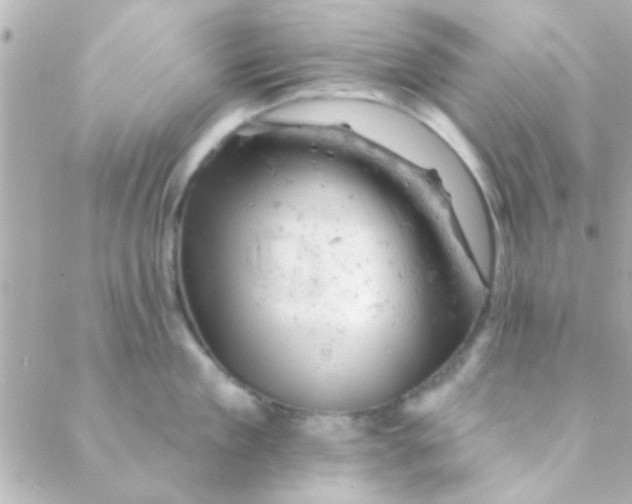 X0000088650909200706152004