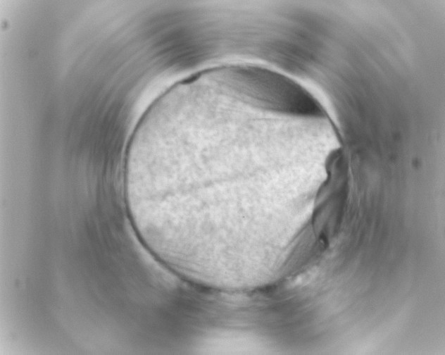 X0000088650911200706152004