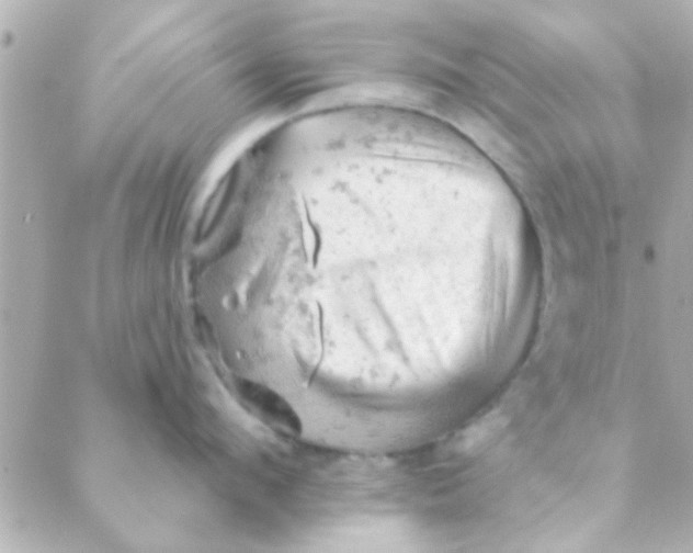 X0000088650912200706152004