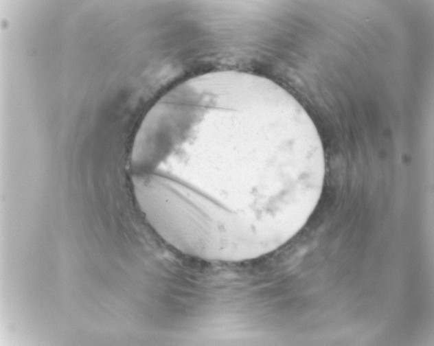 X0000088650913200706152003