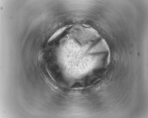 X0000088650914200706152003