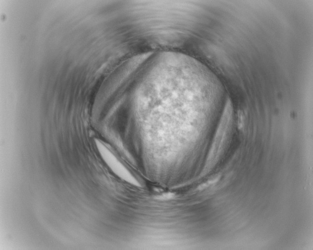 X0000088650915200706152003