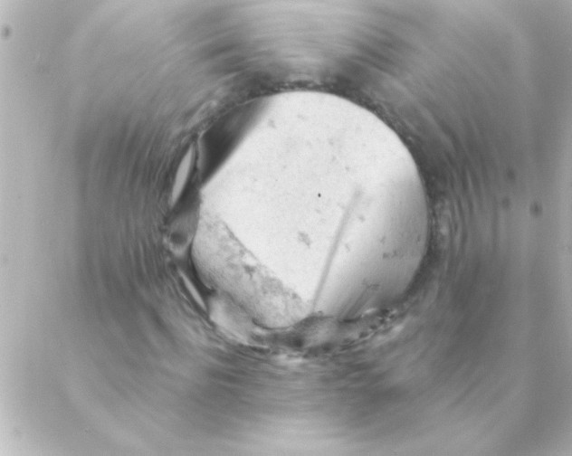 X0000088650916200706152003