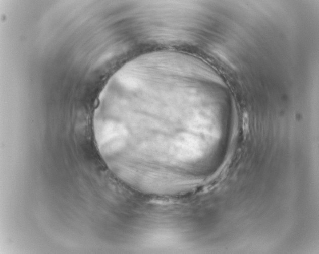 X0000088650917200706152003