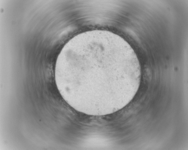 X0000088650918200706152003