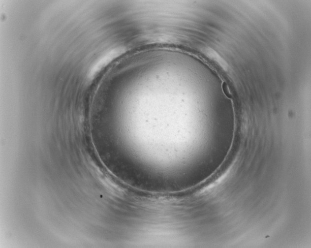 X0000088650922200706152003