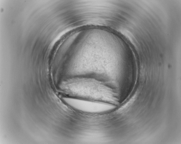 X0000088650923200706152004