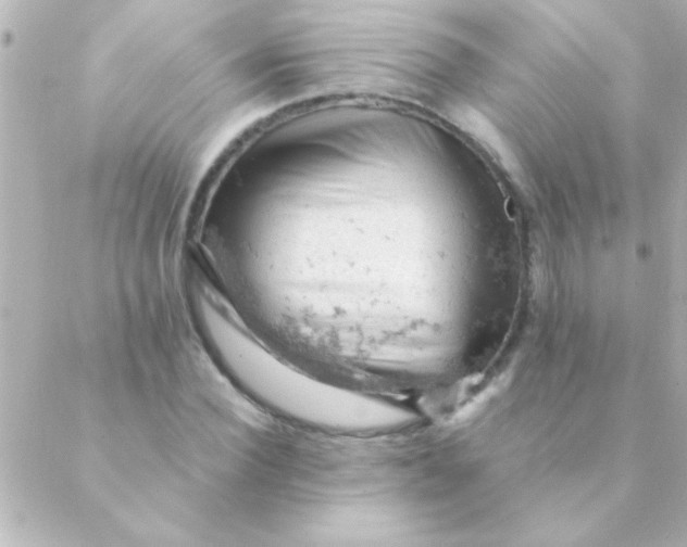 X0000088650924200706152004