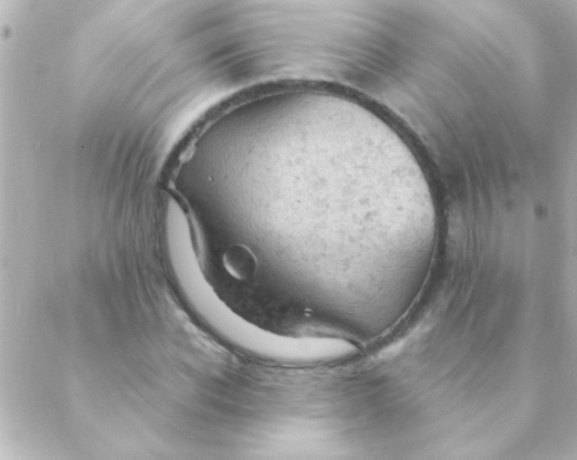 X0000088650926200706152004