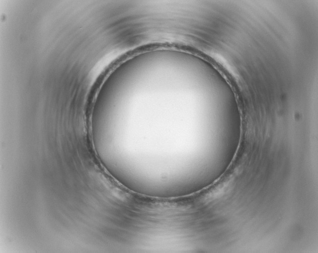 X0000088650927200706152004