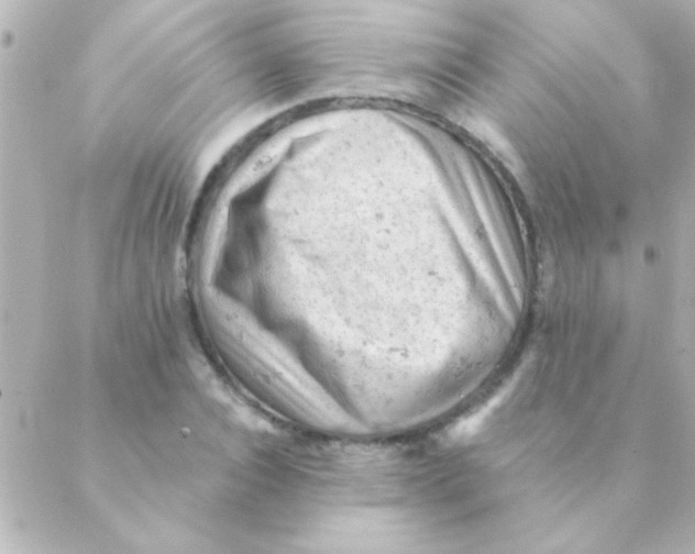 X0000088650928200706152004