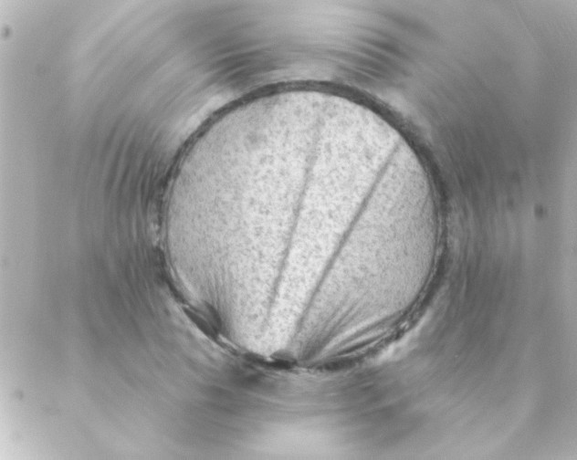 X0000088650929200706152004