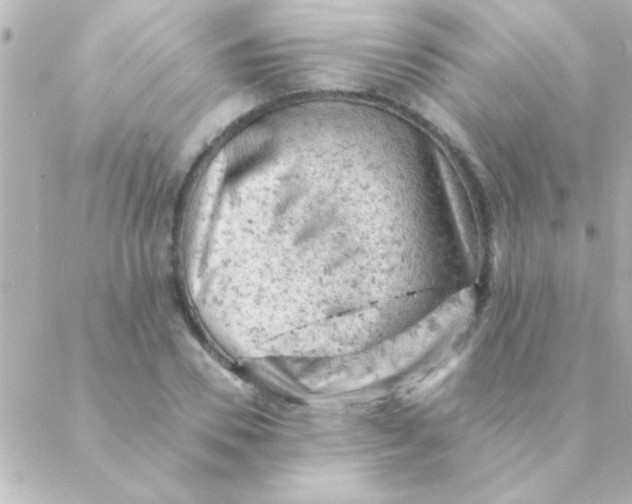 X0000088650930200706152004