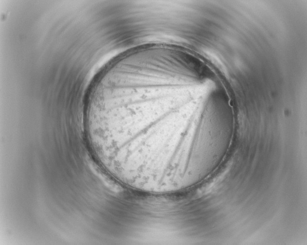 X0000088650931200706152004