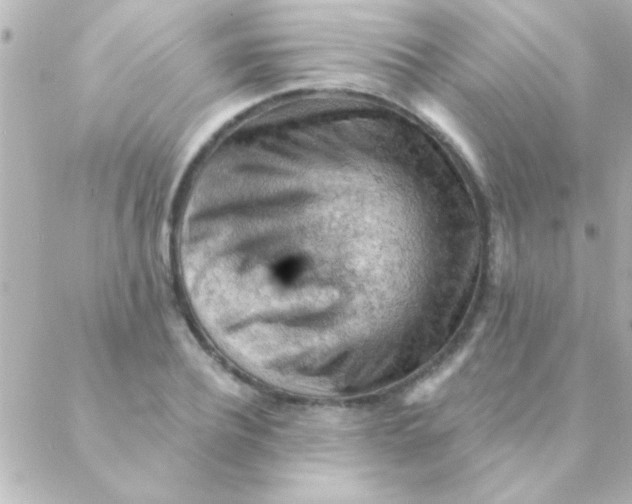 X0000088650932200706152004