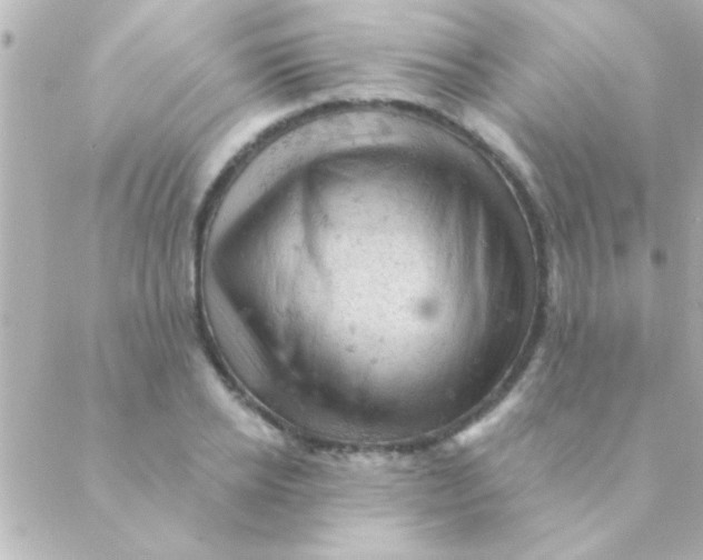 X0000088650934200706152004