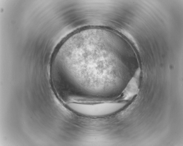 X0000088650935200706152004