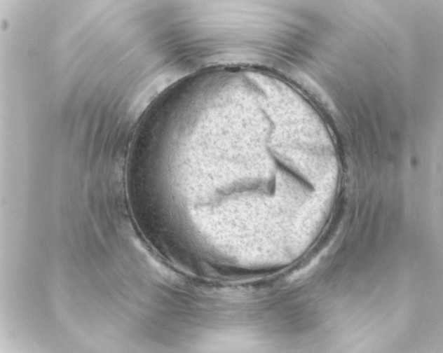 X0000088650937200706152004