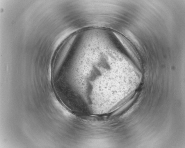 X0000088650940200706152004