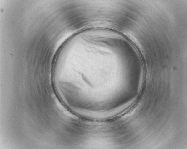 X0000088650941200706152004