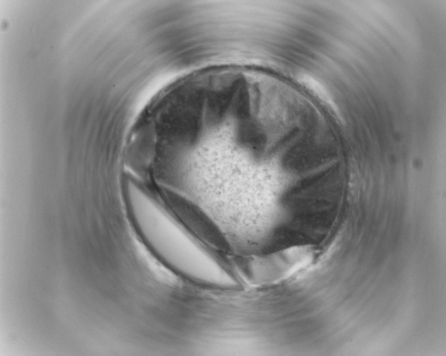 X0000088650942200706152004