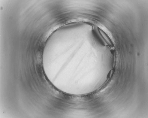 X0000088650945200706152004