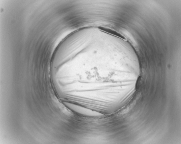 X0000088650948200706152004