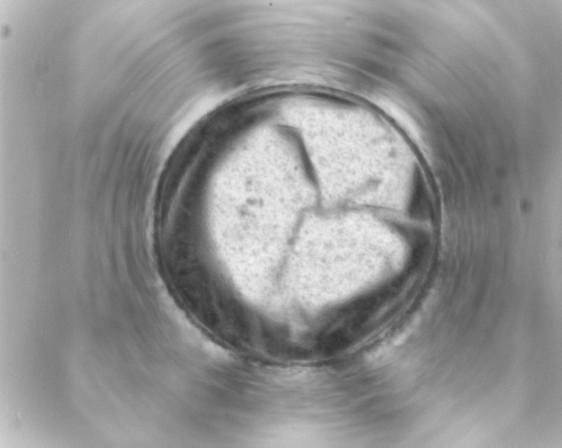 X0000088650949200706152004