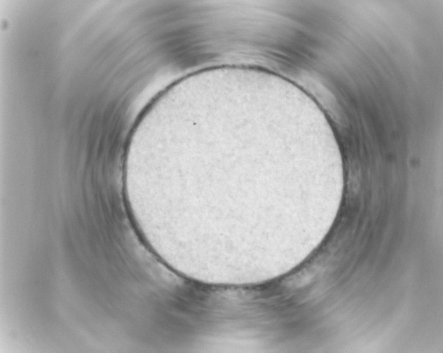 X0000088650950200706152004