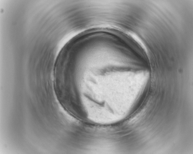 X0000088650951200706152004