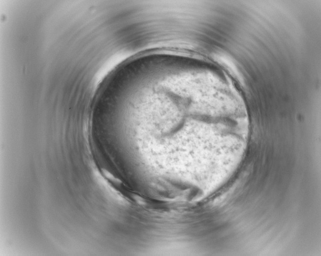 X0000088650952200706152004