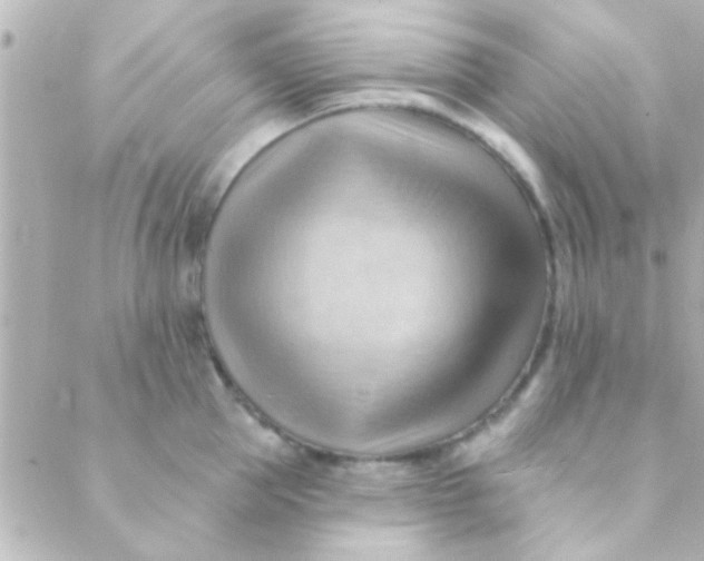 X0000088650953200706152004