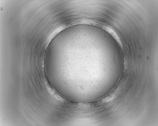 X0000088650954200706152004