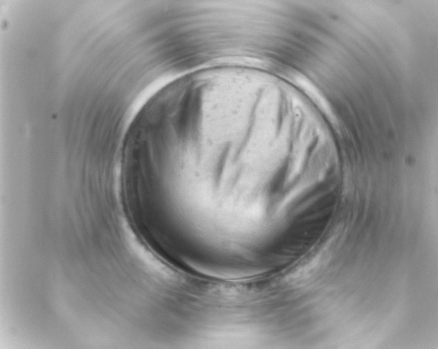 X0000088650955200706152004