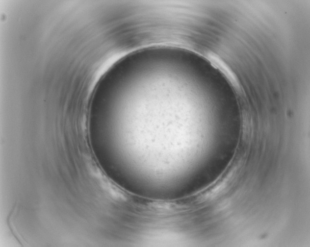 X0000088650956200706152004