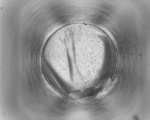 X0000088650957200706152004