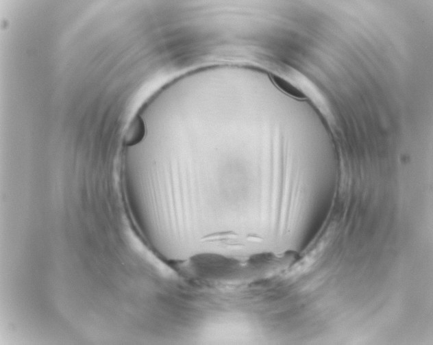 X0000088650958200706152004