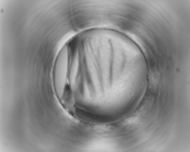 X0000088650959200706152004