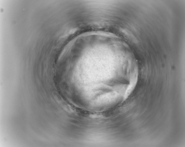 X0000088650961200706152003