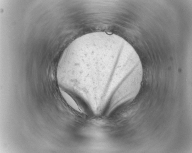 X0000088650962200706152003