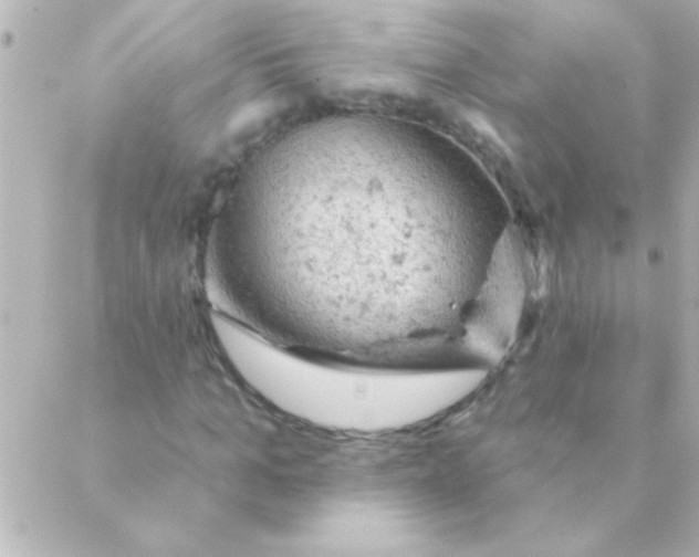 X0000088650965200706152003