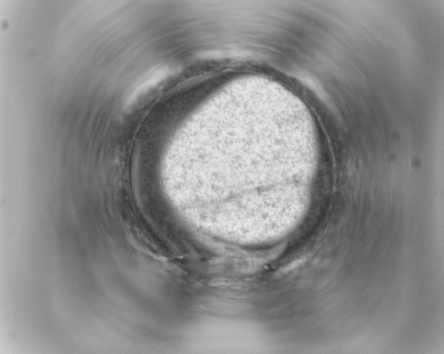 X0000088650967200706152003