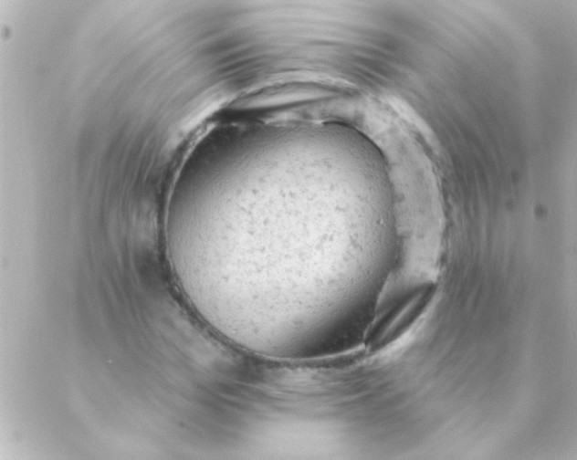 X0000088650969200706152003