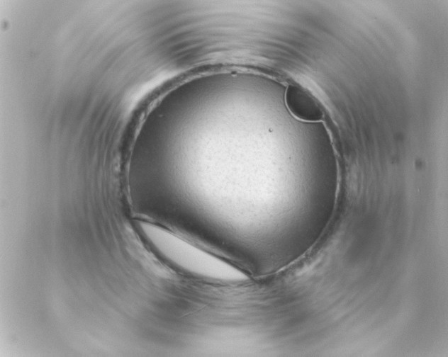 X0000088650971200706152003