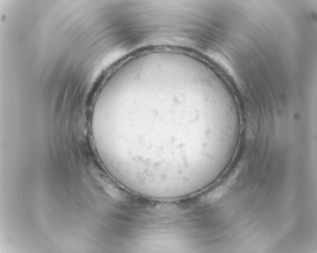 X0000088650974200706152003