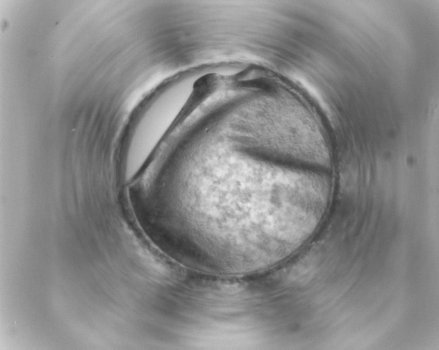 X0000088650975200706152003