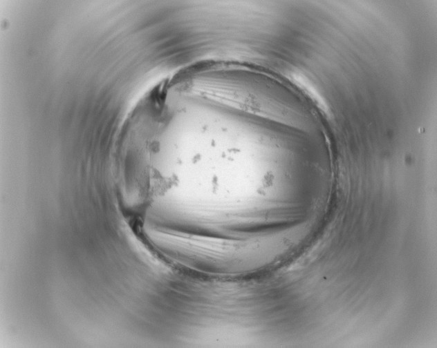 X0000088650976200706152003