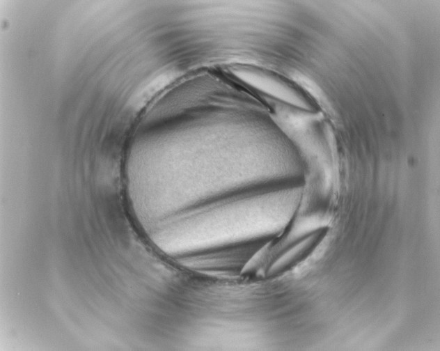 X0000088650977200706152003