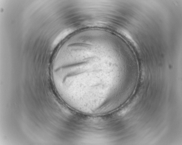 X0000088650978200706152003